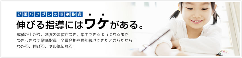 効果バツグンの個別指導　伸びる指導にはワケがある。